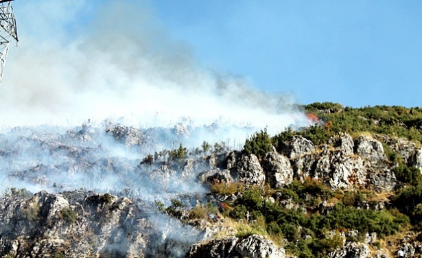 Bucak'ta Orman Yangını
