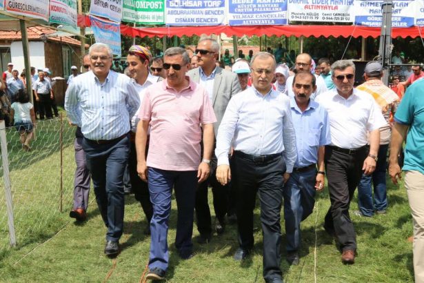Dirmil Yağlı Güreşleri-2016 (4)