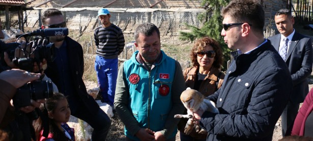 PEÇELİ BAYKUŞ