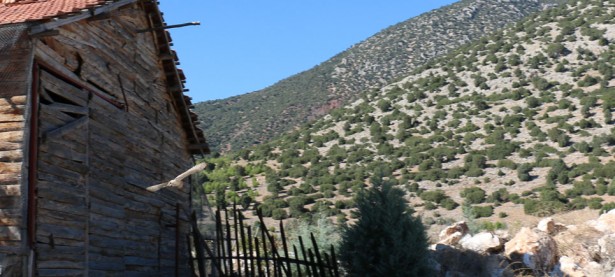 PEÇELİ2