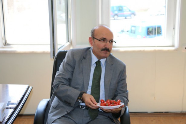Vali Kürklü Söğüt Domatesi'ni Beğendi