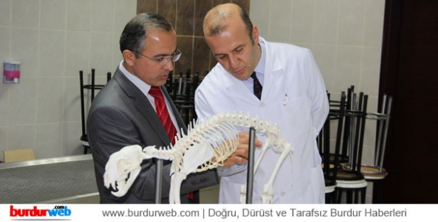 Vaşak'ın İskeleti Derslerde Kullanılacak_2