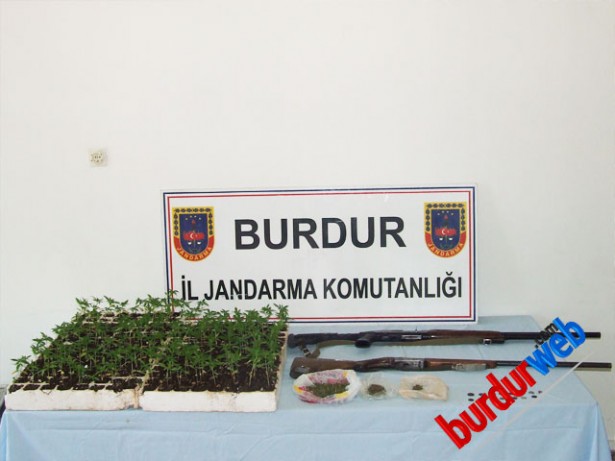 Yasak Kenevir Ele Geçirildi1