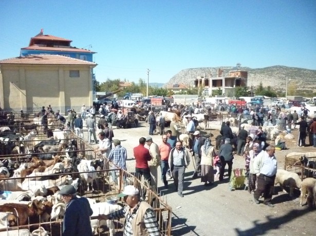 Yeşilova'da Kurban Pazarında Durgunluk