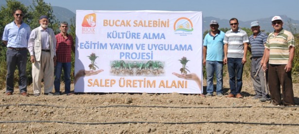bucak salebi haber1