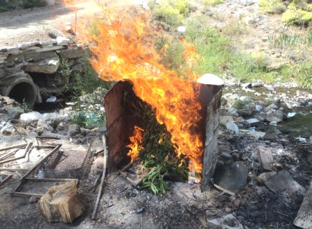 karamanli-da-uyusturucu-operasyonu