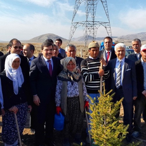 nurettin yilmaz-inceleme