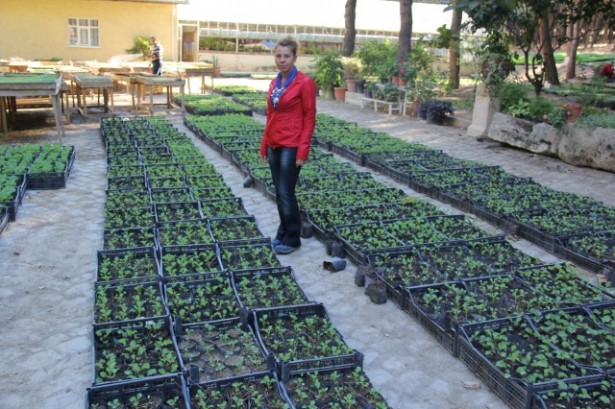 park bahçeler kış sezonuna hazır (8)