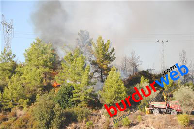 salda gölü ormanda yangın