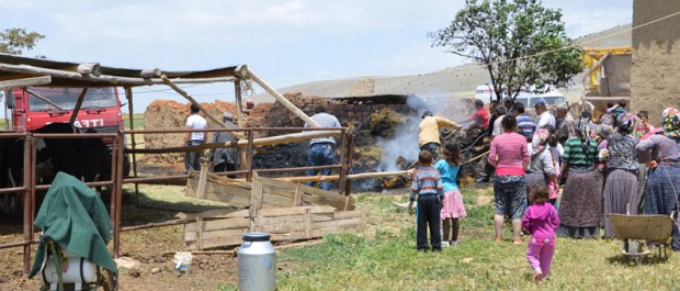ısparta saman balyasi yandi