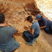MAKÜ’lü Akademisyenler 9 Milyon Yıllık Fosilleri Gün Yüzüne Çıkarıyor