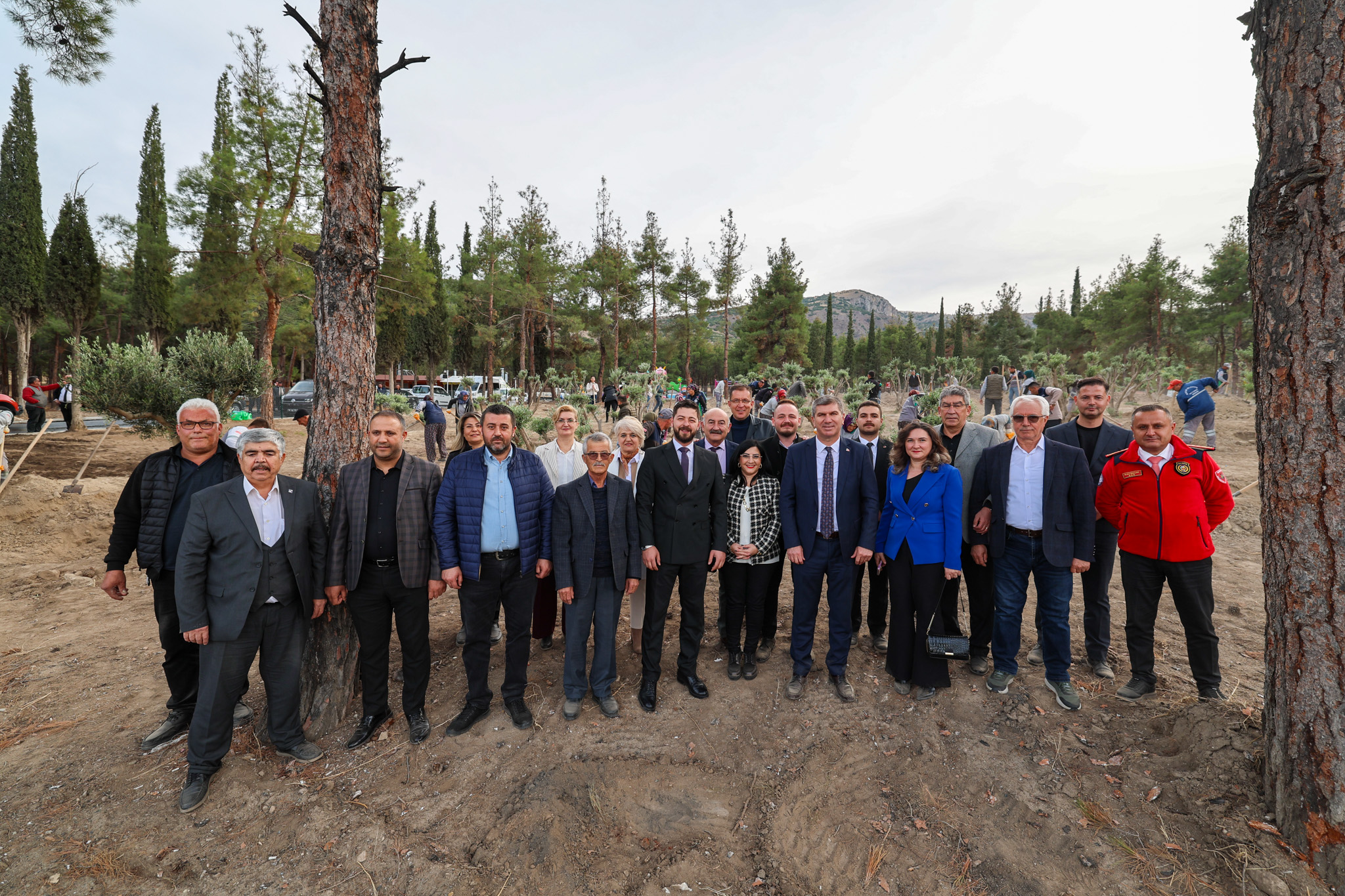 Burdur’da 80 Zeytin Ağacı Toprakla Buluştu