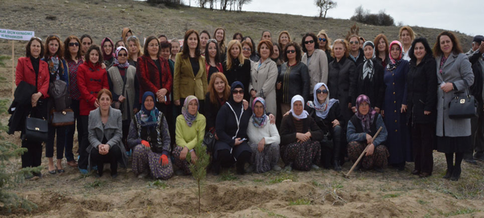 5 Bin Fidan Dikildi