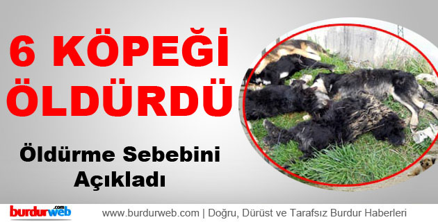 6 Köpeği Öldürdü