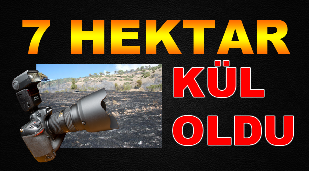 7 Hektar Kül Oldu
