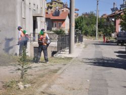 Belediyeden son bahar temizliği