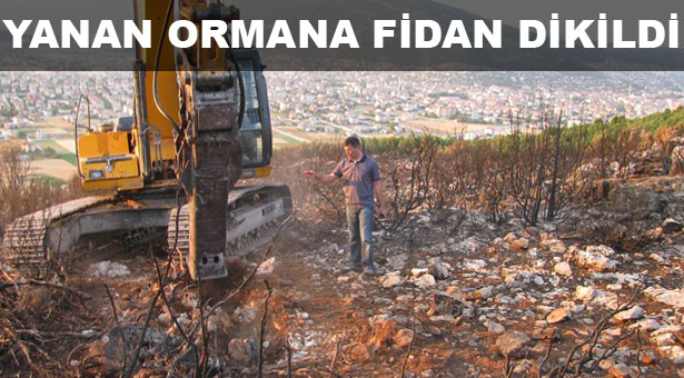 Bucak’ta Yanan Orman Yeniden Hayata Getirilecek