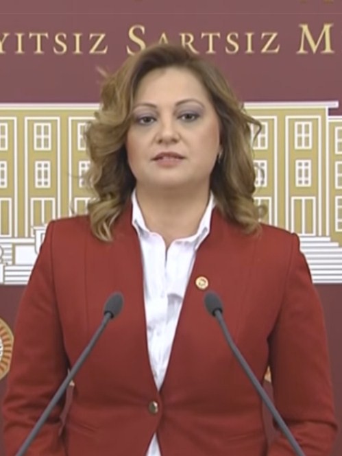 Burcu Köksal Plastik Sandalye Krizi Nedir?