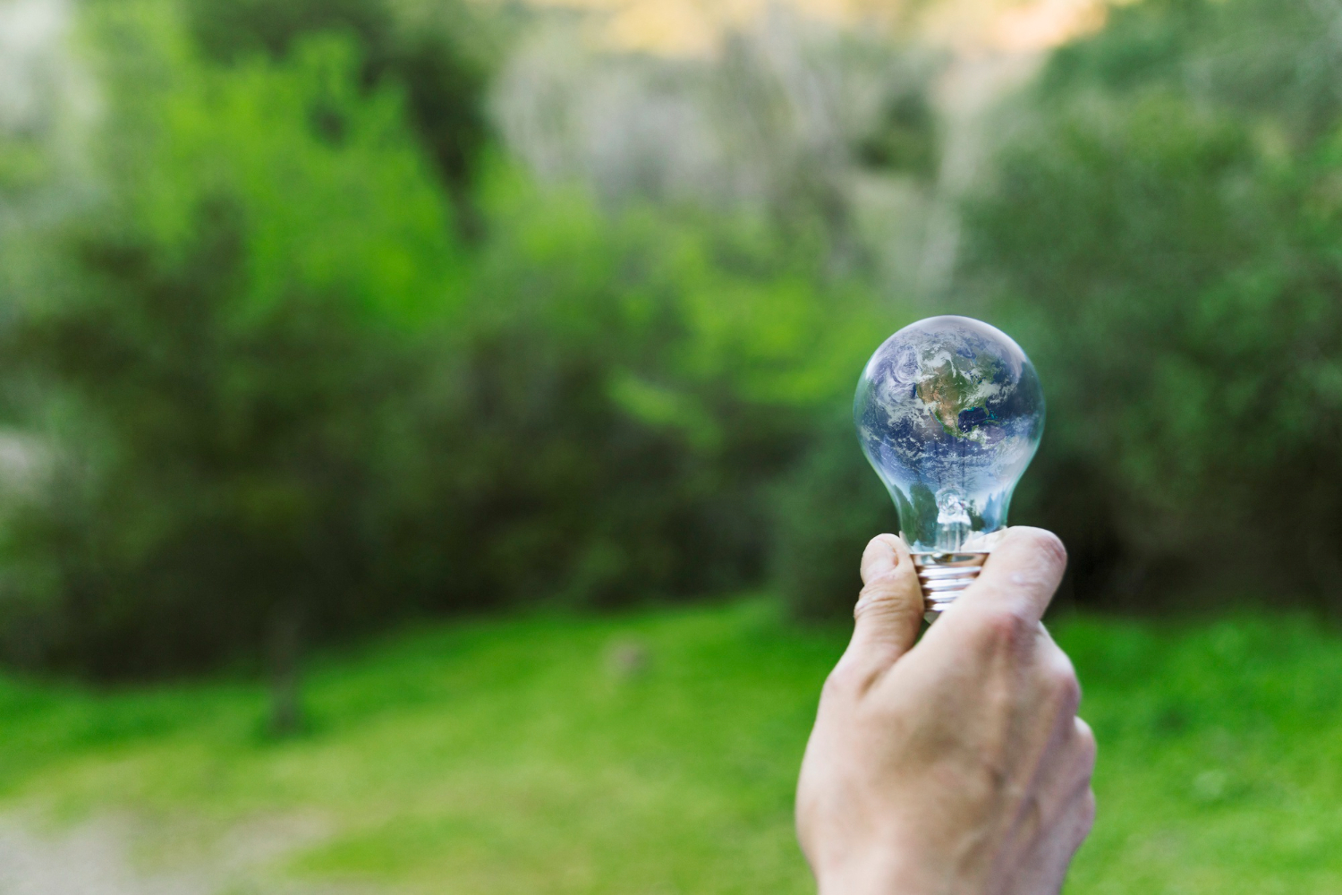 Enerji Verimliliği Nedir? Enerji Verimliliği Haftası Neden Kutlanır?