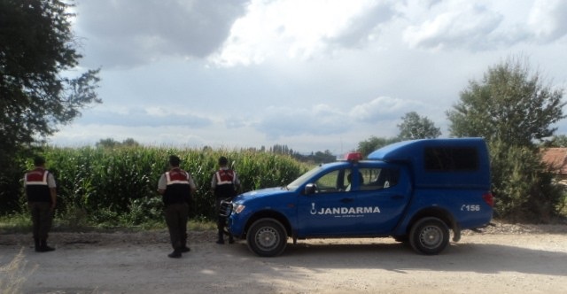 Jandarma’dan Uyuşturucu Avı