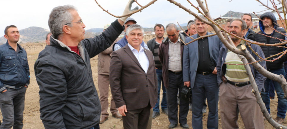 Burdur’da ciftçilere ağaç budama kursu verildi