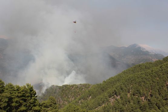 Ağlasun’da Orman Yangını