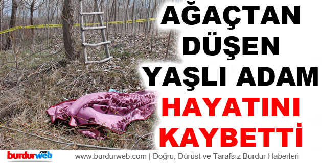 Ağaçtan Düşen Yaşlı Adam Hayatını Kaybetti
