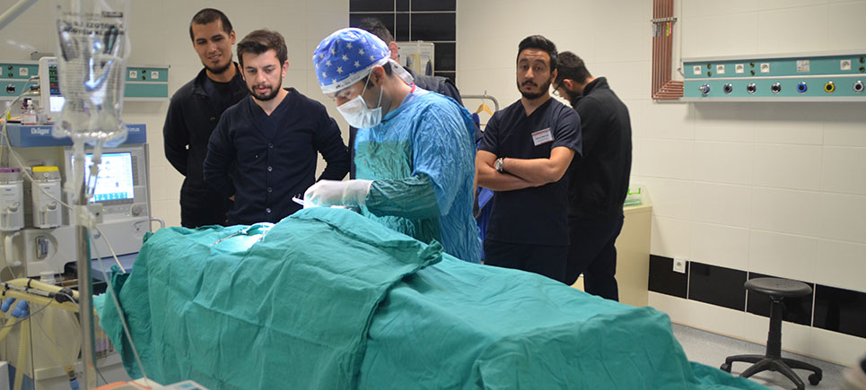 MAKÜ’de başarılı operasyon