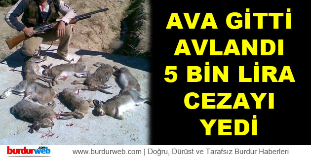 Ava Gitti Avlandı Cezayı Yedi