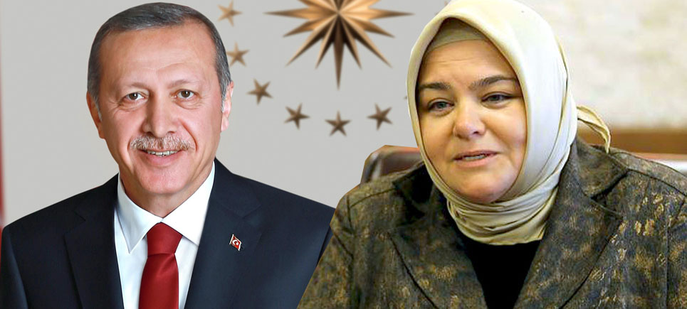 Ayşen Gürcan, Cumhurbaşkanı Başdanışmanı oldu