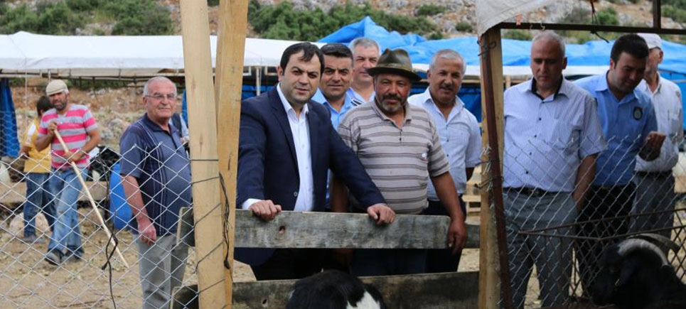 Başkan Mutlu’dan hayvan pazarında inceleme turu