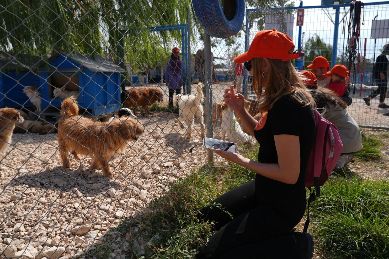Borusanlı Gönüllülerden “Pati Elçileri” Projesiyle Sahipsiz Hayvanlara Destek