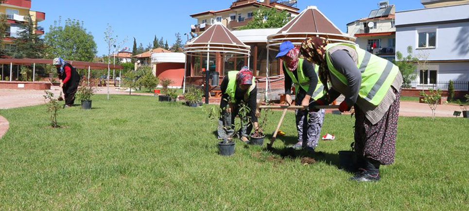 Park ve Bahçeler Müdürlüğü ekipleri tam saha çalışıyor