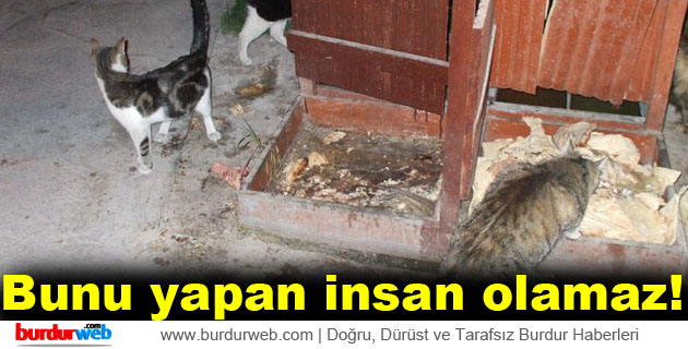 Bunu yapan insan olamaz!