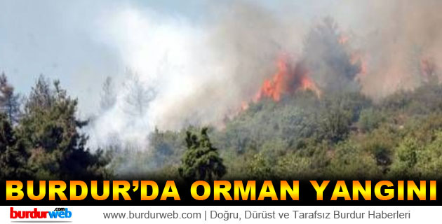 Burdur’da Orman Yangını