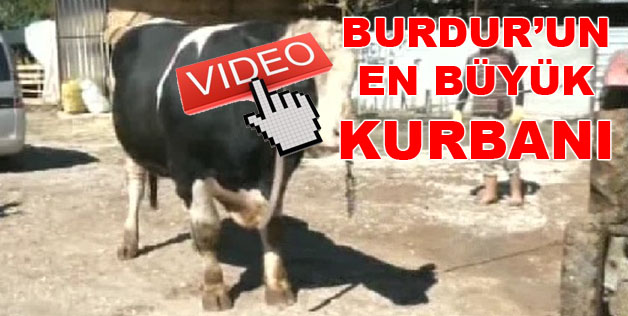 Burdur’da 1.5 Tonluk Şakir Alıcısını Bekliyor