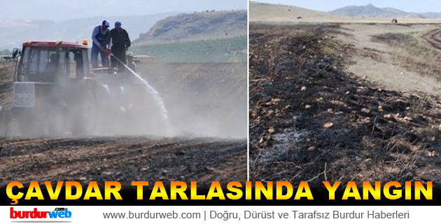 Çavdar Tarlasında Yangın