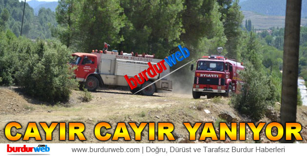 Ormanlar Cayır Cayır Yanıyor
