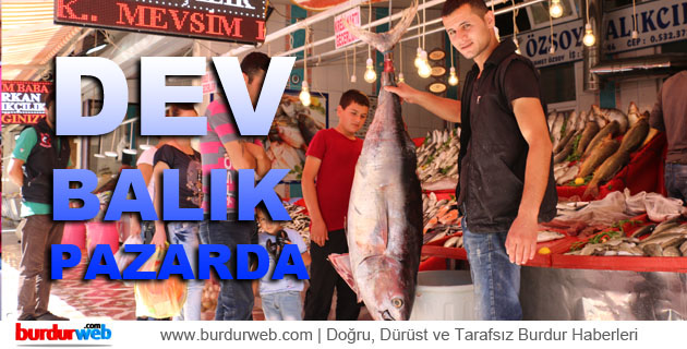 Dev Balık Pazarda