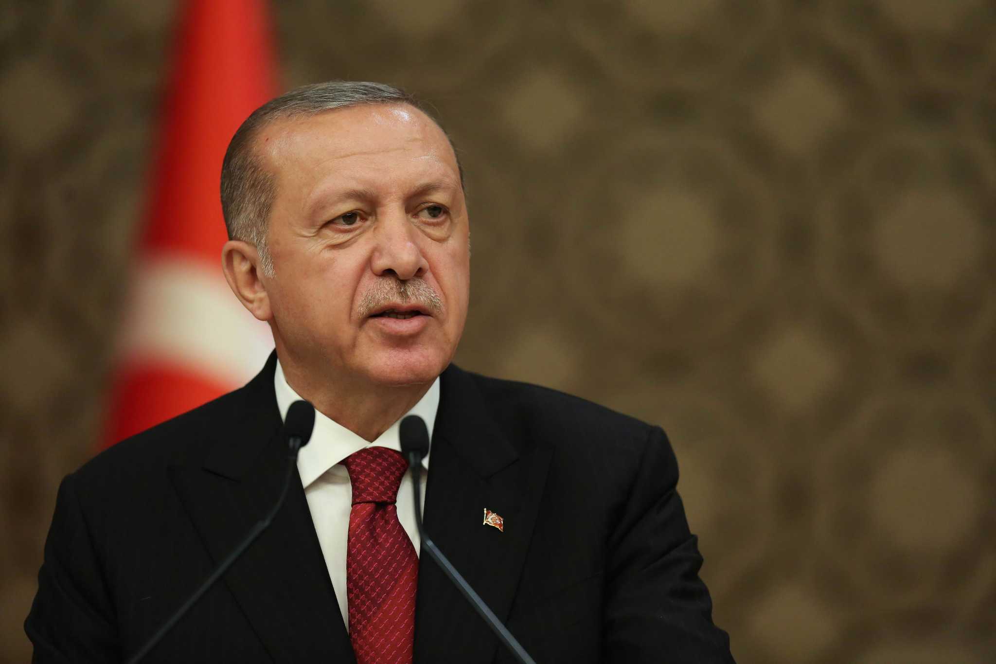 Erdoğan’dan “Sokak Hayvanları” İle İlgili Önemli Açıklama