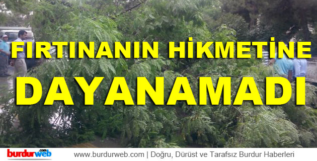 Fırtınanın Hikmetine Dayanamadı