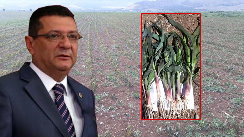 Milletvekili Göker’den zirai don açıklaması