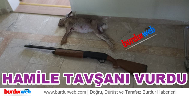 Hamile Tavşanı Vurdu