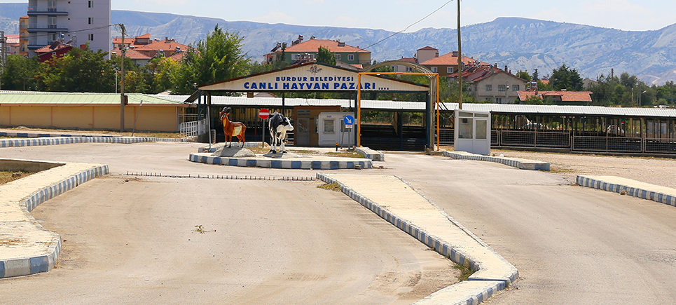 Hayvan Pazarı bayrama hazır