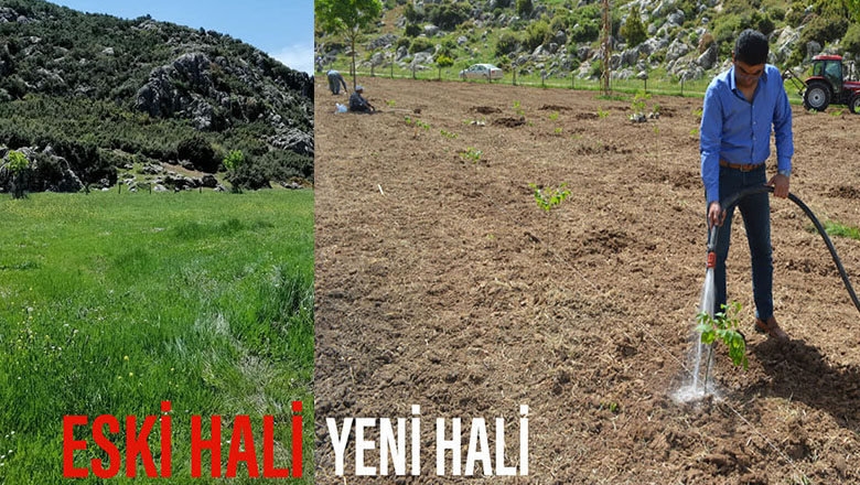 Başkan İlkay Güngör beldeyi yeşillendiriyor