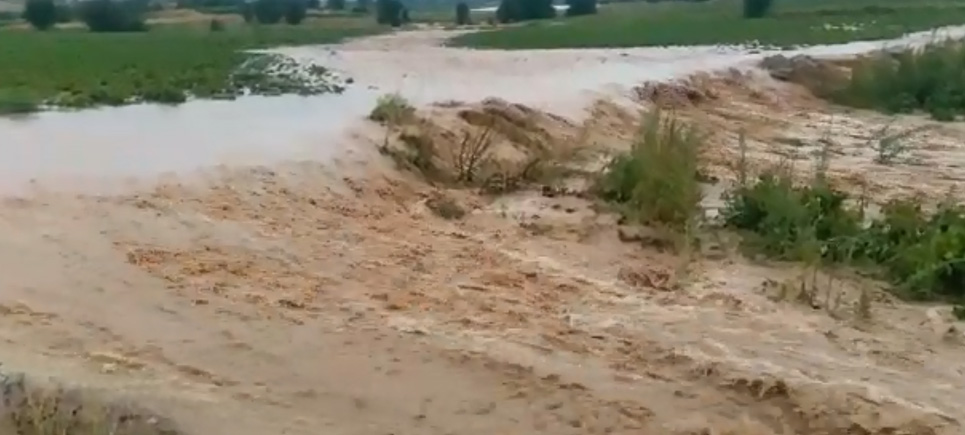 İnsuyu ve Kurna’da 4 Bin dekar arazi zarar gördü