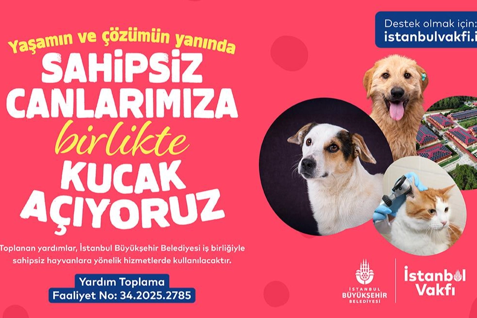 İstanbul Vakfı’ndan Sahipsiz Can Dostlarımıza Destek Çağrısı