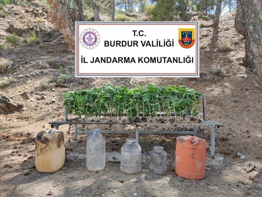 Jandarmadan uyuşturucu operasyonu
