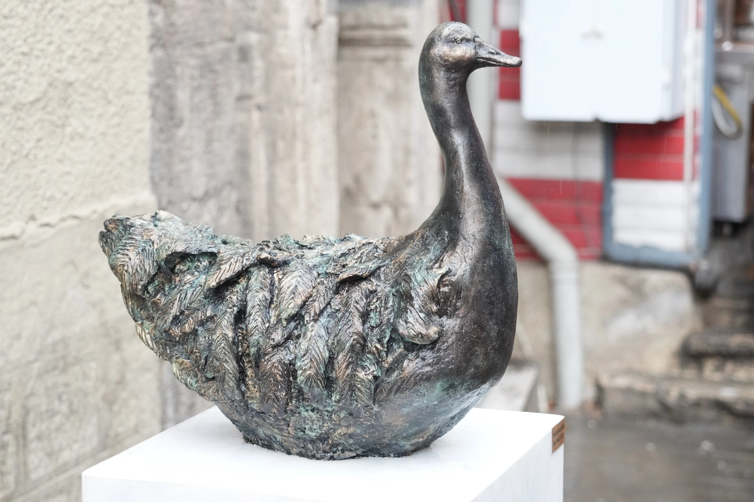 Kadıköy’ün Maskotu Rodi Yeniden Çarşı’da