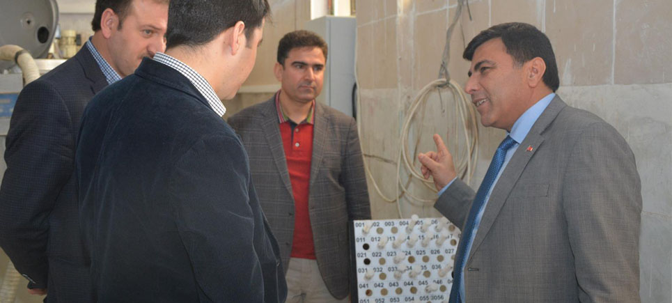 Kamil Özcan, Burdur Damızlığının Kalitesini Anlattı